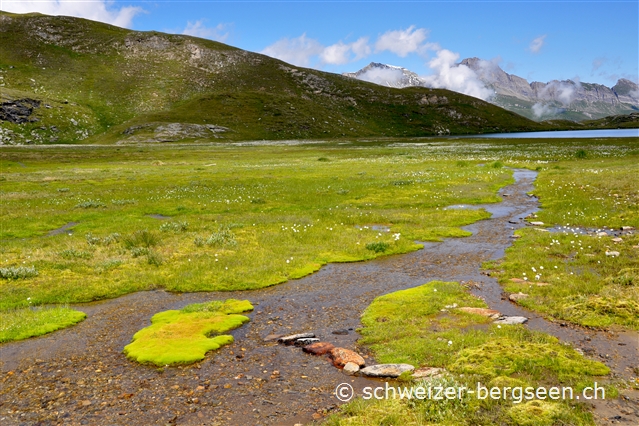 bilder/03/guraletschsee-wandern.jpg